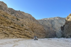 IMG_8708