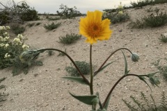 IMG_0067 IMG_0067