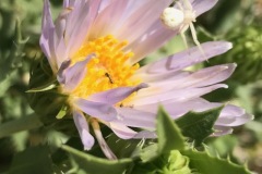IMG_0180 IMG_0180