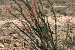 IMG_0181 IMG_0181