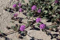 IMG_5770 IMG_5770