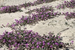 IMG_5771 IMG_5771