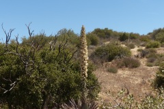 L1010168 L1010168