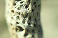 image000000