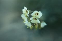 image000004