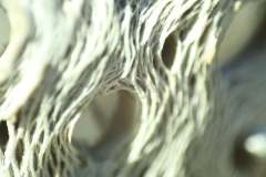 image000005