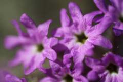 image000006