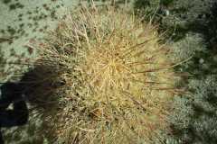 image000007 image000007