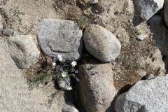 IMG_6510 IMG_6510
