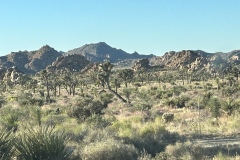 IMG_1144 IMG_1144