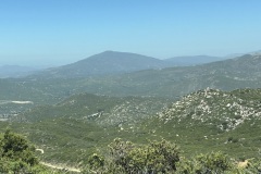 IMG_2539 IMG_2539