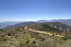IMG_0635 IMG_0635