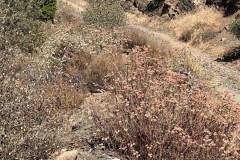 IMG_0676 IMG_0676
