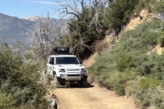 IMG_2640 IMG_2640