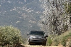 IMG_2646 IMG_2646