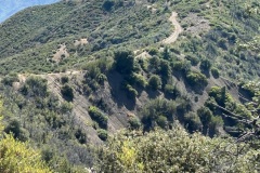 IMG_2665 IMG_2665