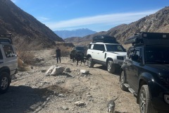 LRCSD Joshua Tree Feb 2025
