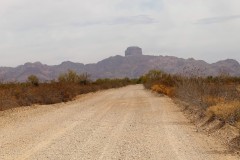 20250328_115958.sony_