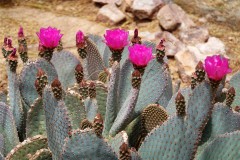20250328_130416.sony_ 20250328_130416.sony_