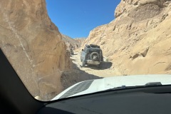 anza-borrego ocotillo wells april 2025